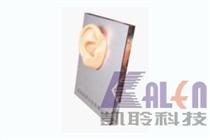 Mounted demo ear
