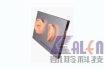 Mounted demo ear